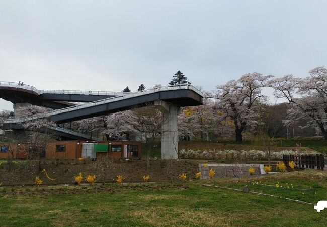 桜と鉄道の撮影スポット