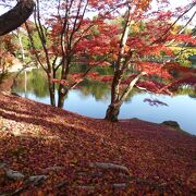 北池と南池があって回遊式庭園