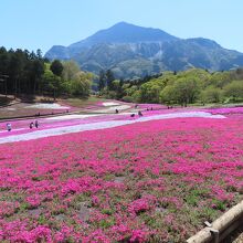 武甲山をパックに