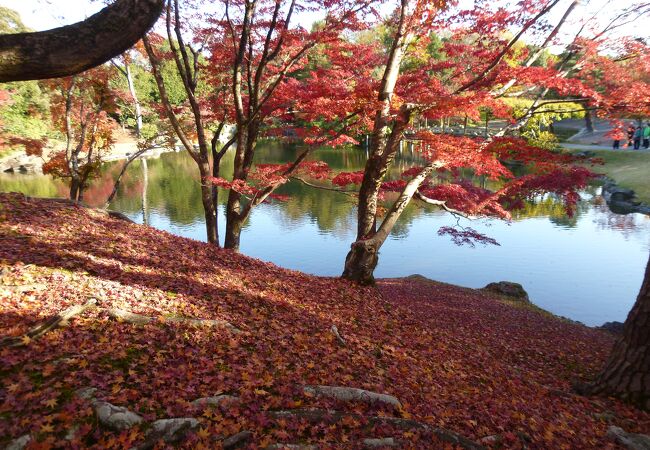 北池と南池があって回遊式庭園