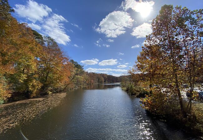 Pocahontas State Park