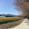 今年は早かった印象です。