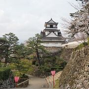 桜と高知城