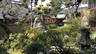 発酵食料理がお勧め