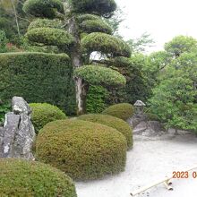 広くないですが整備されてました