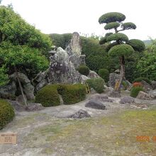 広くないですが整備されてました、それぞれ構成が違います