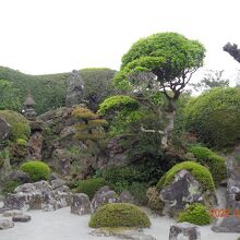 広くないですが整備されてました