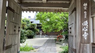 境内の植栽とお庭が魅力的