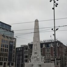 路面電車に、乗っていてちらっと見えました