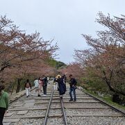 台車のようなケーブルカーと船が展示されていますが、桜の季節には、訪問客はお花見見物に着ている人が多いです。