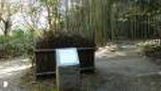 比較的静かに百人一首さんぽ