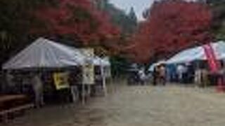 羅漢の里もみじまつり