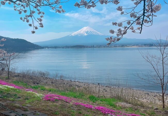 富士河口湖さくら祭り