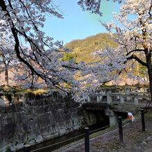 銭淵公園 