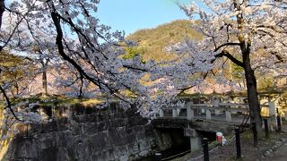 坂戸城址の桜の名所