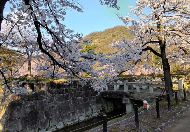 坂戸城址の桜の名所