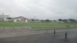 子供から大人まで遊べます