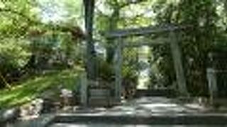 近くの「阿知の藤」は一見の価値