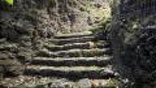 苔むした昔の井戸