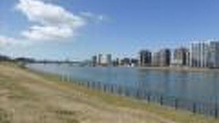 信濃川沿いをのんびり散策