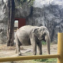 マニラ動物園