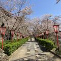 津山さくらまつり 