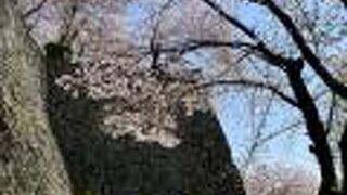 津山の町を見渡せます