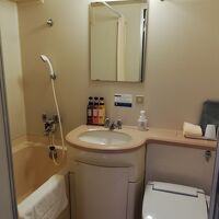 旧式なバスルーム、客室が広いのに水回りは狭い