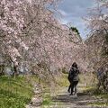 たけべの森公園