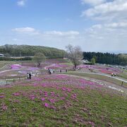 高崎市街から離れた山間の芝桜公園