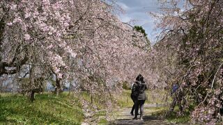 たけべの森公園