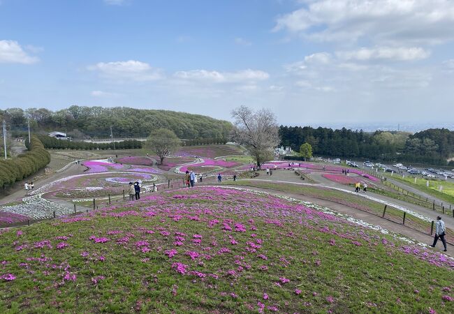 高崎市街から離れた山間の芝桜公園
