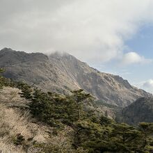 仁田峠から見た平成新山
