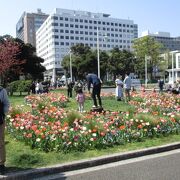 春の花で癒されます。