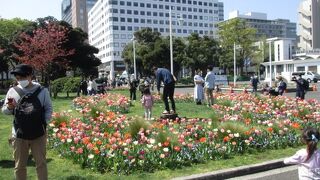 春の花で癒されます。