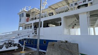 大島観光のため往復利用