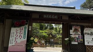 一年中いろいろなお花が楽しめるようです