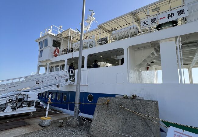 大島観光のため往復利用