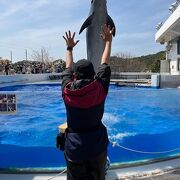 楽しい水族館