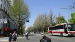 銀杏並木が青空に映え綺麗です。