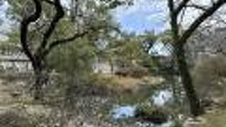 御書院と高城回廊を中心とした公園