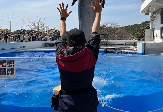 楽しい水族館