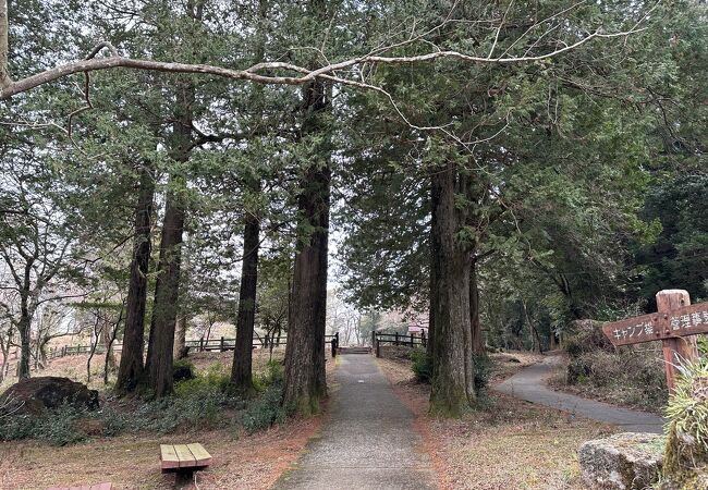 白雲ノ池キャンプ場