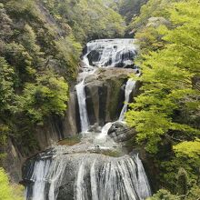 エレベーターで昇って観覧台から