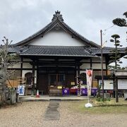 「我が祈念に応ずる松なり」家康父君の菩提寺