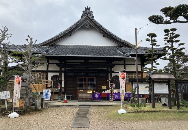 「我が祈念に応ずる松なり」家康父君の菩提寺