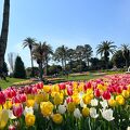 お花もですが、芝生も素晴らしい！！