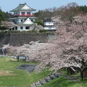 今回は桜の季節に行けてよかった！