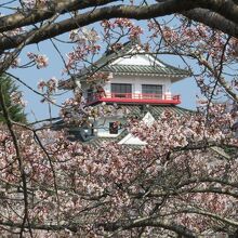 桜の花の合間に見える天守閣風の造りの涌谷町立資料館。