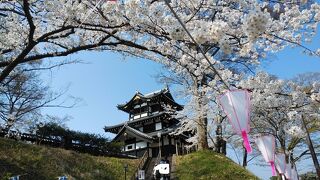 遠くの山と園内を一望できる